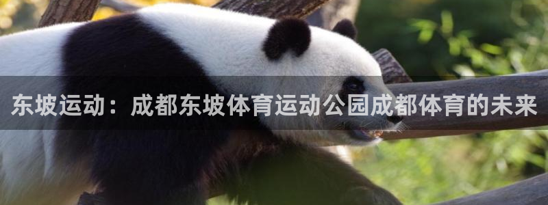 球王会体育