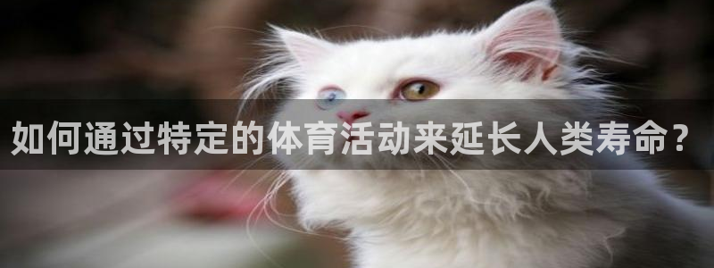 球王会体育
