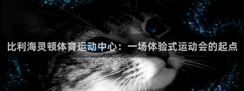 球王会体育