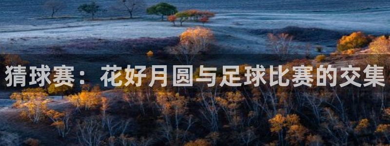 球王会体育：猜球赛：花好月圆与足球比赛的交集