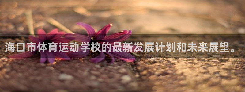 球王会体育：海口市体育运动学校的最新发展计划和未来展望。