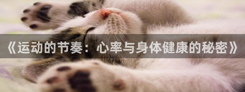 球王会体育：《运动的节奏：心率与身体健康的秘密》