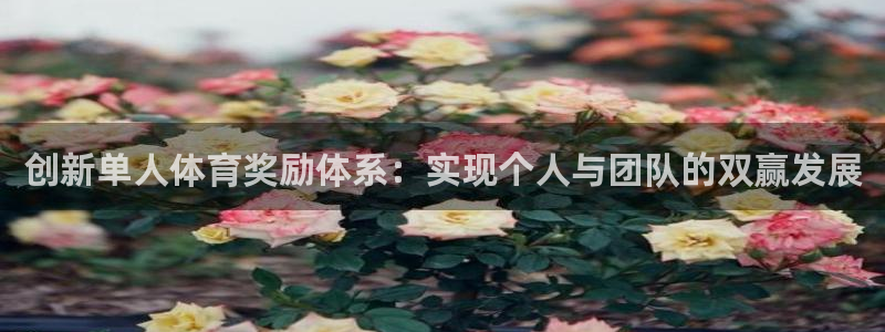 球王会体育