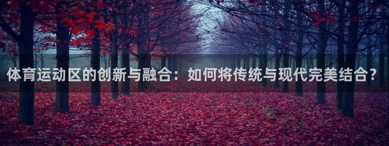 球王会体育：体育运动区的创新与融合：如何将传统与现代完美结合？