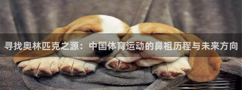 球王会体育：寻找奥林匹克之源：中国体育运动的鼻祖历程与未来方向